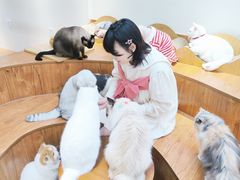 -有猫主题·治愈系猫咖(曾厝垵店)