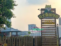 -柴犬高等学院·狗咖·柴犬售卖·宠物训练