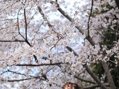 -南浦大桥长途旅游客运站