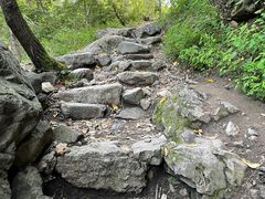 -云岫谷游猎自然风景区