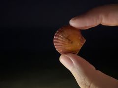 -烟台金沙滩海滨公园