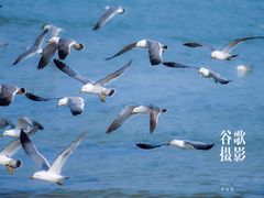 -那香海钻石沙滩浴场