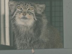 -青藏高原野生动物园