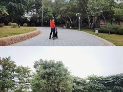 -海珠儿童公园