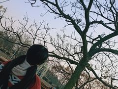 -丁家河公园