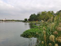 -美兰湖景区