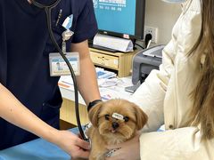 -美联众合动物医院·24h京西诊疗中心