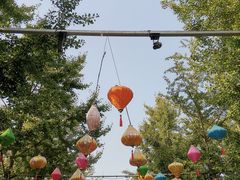 -南宫五洲植物乐园