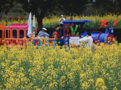 -光明小镇欢乐田园