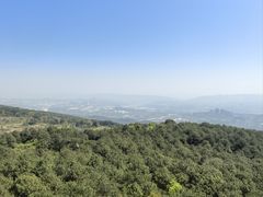 -铁山坪森林公园