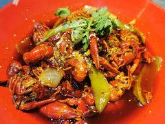 -红辣椒·川菜·火锅(张杨路店)