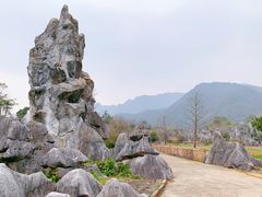 -千岛湖石林