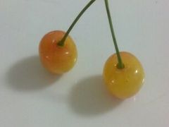 -春天烤肉自助餐厅(南内环店)
