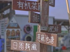 -尚贤河湿地