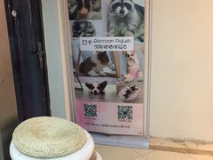 -浣熊柯尔鸭土拨鼠·电玩咖