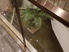 -广州白天鹅宾馆