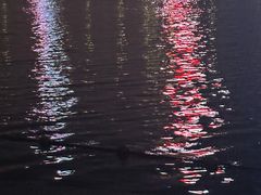 -天鹅湖体育公园