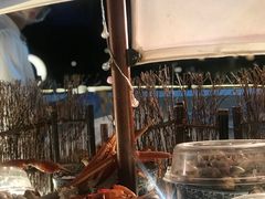 -亚龙湾希尔顿自助餐厅·海鲜·烧烤·沙滩BBQ·现场乐队