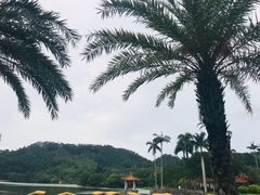 -深圳仙湖植物园-停车场