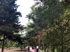 -黛秀湖公园