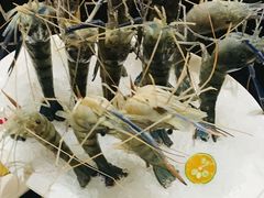 -璞御·海鲜·雪花牛肉局(宾水西道店)