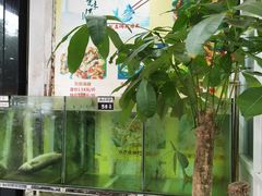 -凯盈阁·顺德私房菜·桑拿鸡