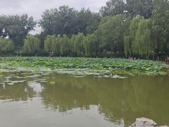 -中国农业博物馆
