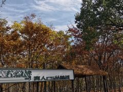 -嘉北郊野公园