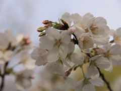 -堤角公园