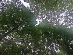 -小格里自然风景区