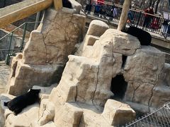 -石家庄市动物园