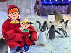 -芜湖新华联大白鲸海洋公园