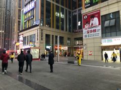 -凤凰路何眼镜香辣蟹(花果园店)