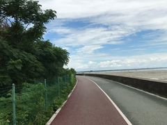 -北海金海湾红树林生态旅游区