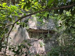 -北极阁公园