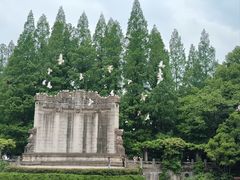 -音乐台