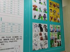 -天宠宠物医院24小时·急重症诊疗中心·全科·腔镜特色(和平分院)