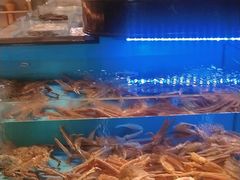 -阿伟海鲜楼·福建菜(延寿店)