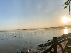 -北岐滩涂