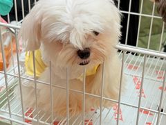 -金牛万达广场