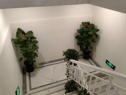 -金都微美·精准护肤·疗愈SPA