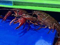 -永辉超市(鲁谷店)