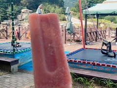 -北京西山国家森林公园