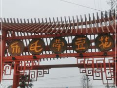 -乐氏荤豆花