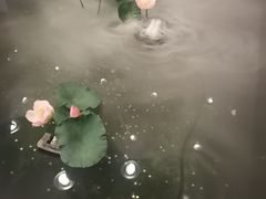 -老船坞餐厅(北京亚洲大酒店 )