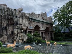 -森波拉奇妙世界