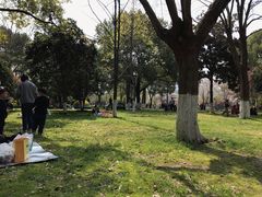 -堤角公园