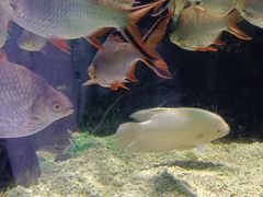 -太平洋海底世界