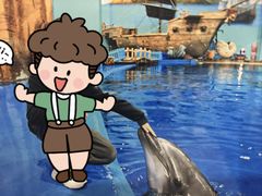 -华夏文旅西安度假区
