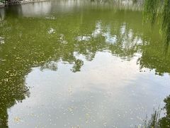 -柳侯公园